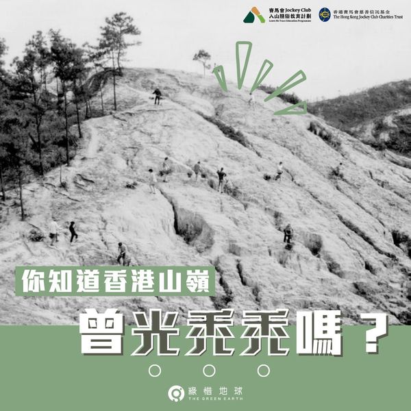 【你知道香港山嶺曾光禿禿嗎？】(2024/02/23)