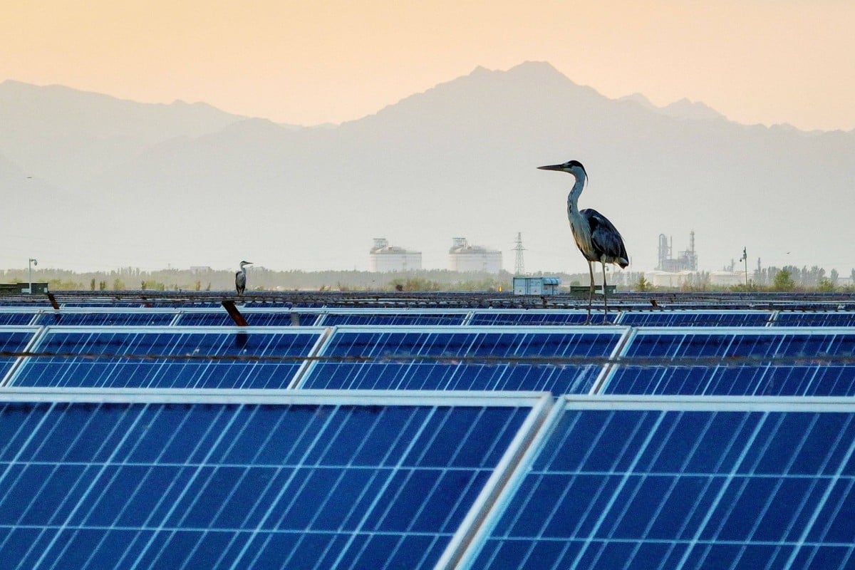 Hong Kong can take a leaf out of national green guidelines